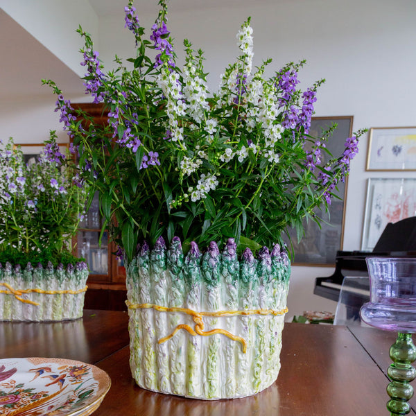 Asparagus Cachepot