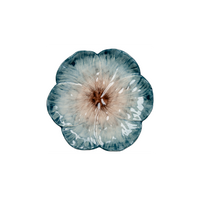 Elisabetta Flower Dessert Plate, Blue, Set of 2