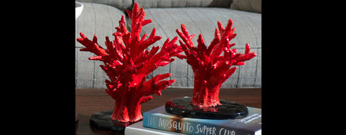 Coral