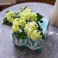 Tulipiere, Turquoise with White Flowers