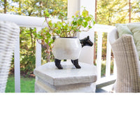 Lamb Planter