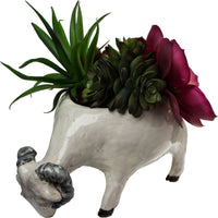 Ram Planter