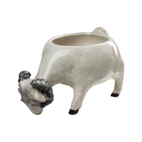 Ram Planter