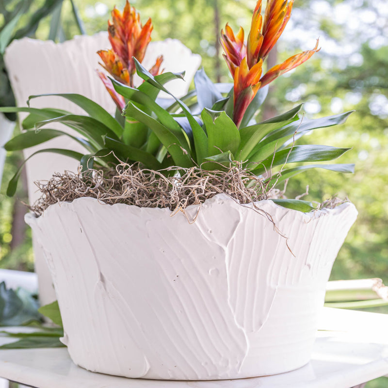 Textured Bowl, Matte White