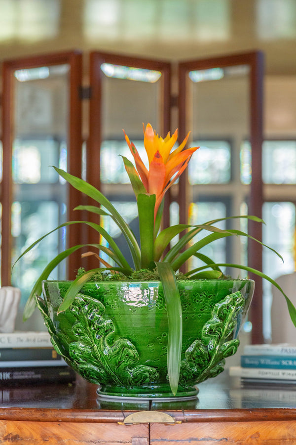 Greco Bowl, Green Leaves