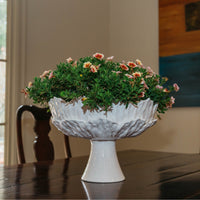 Foliage Footed Compote, White