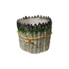 Asparagus Cachepot