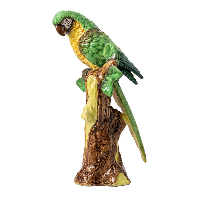 Parrot, Painted