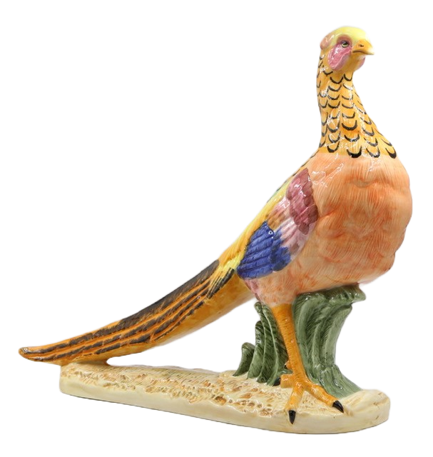 Pheasant, Painted