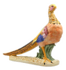Pheasant, Painted
