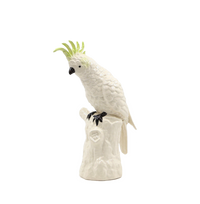 Cockatoo