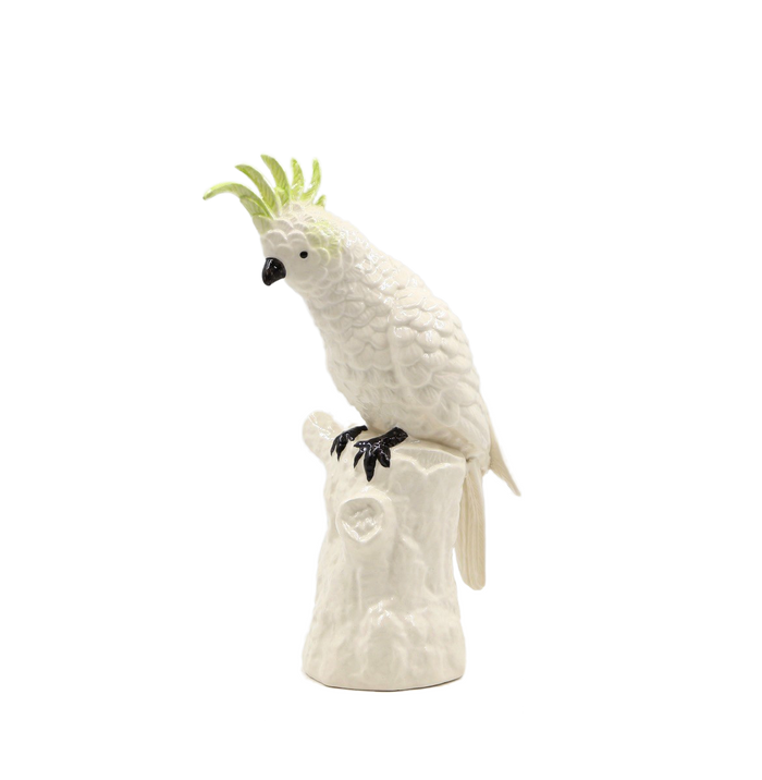 Cockatoo