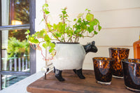 Torcello Tortoise Tumbler, Set of 4