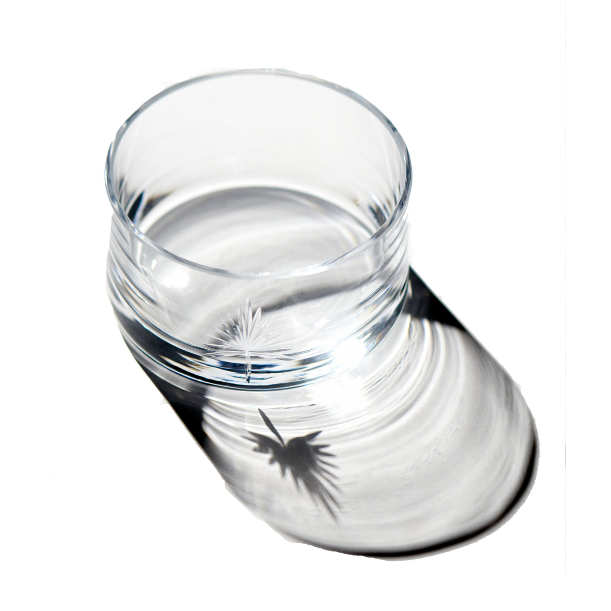 Palmetto Wine Coaster