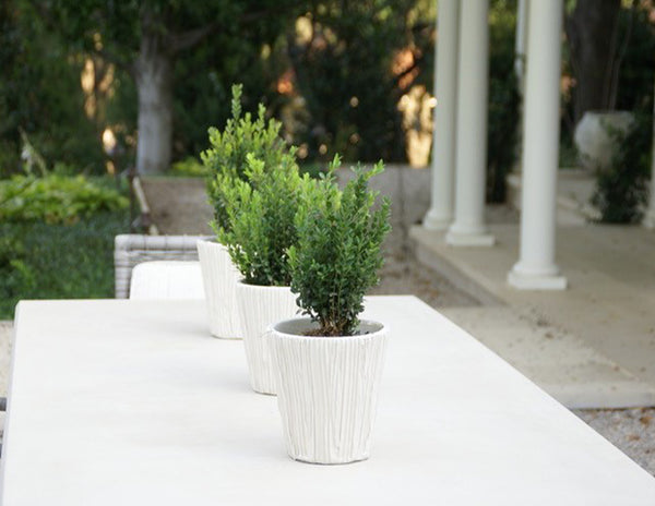 Alpine Cachepot, White