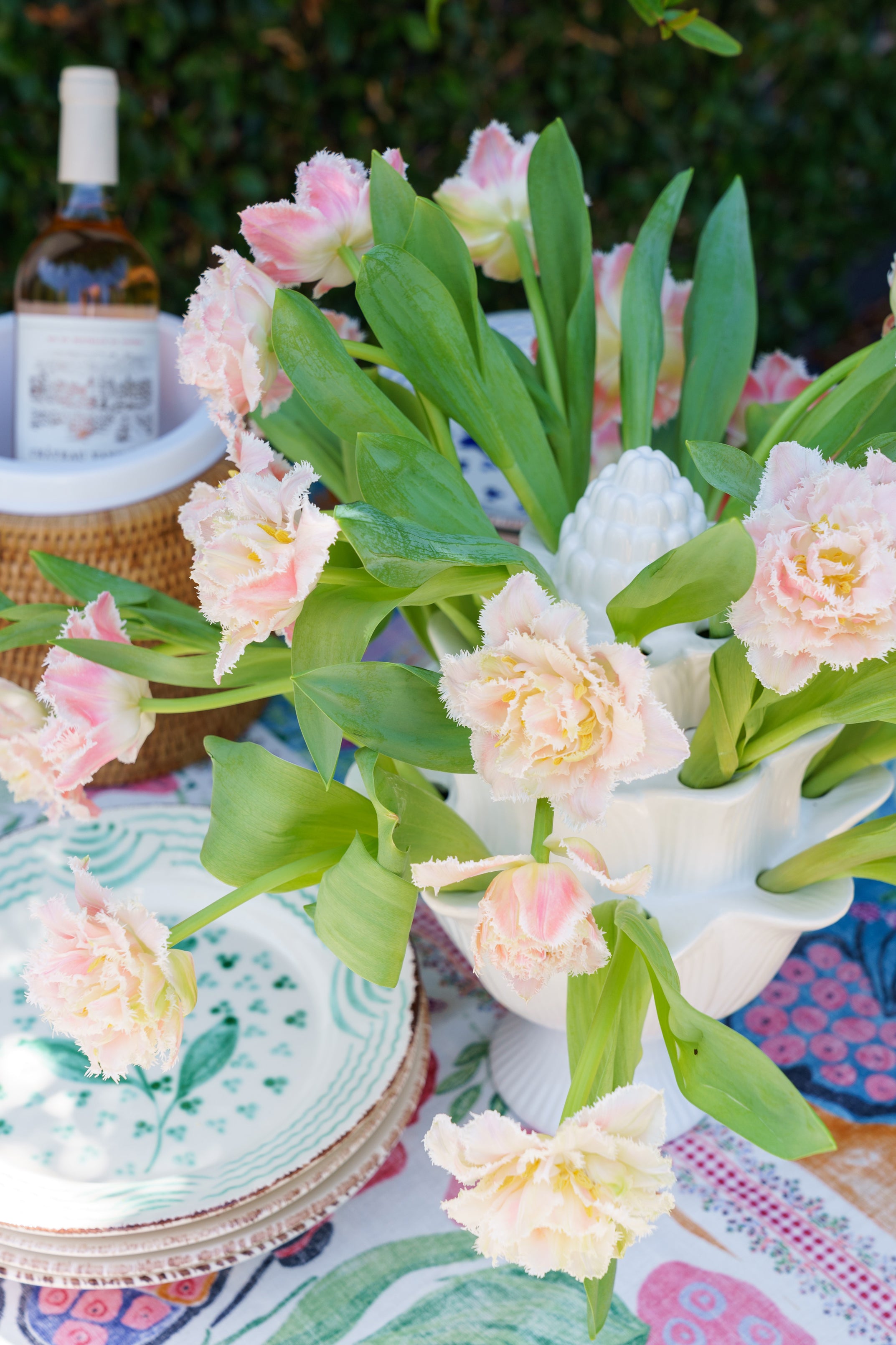 ooo112 　marihoja Abaca Lace Tulip Portland • Wooden Shoe Tulip Farm