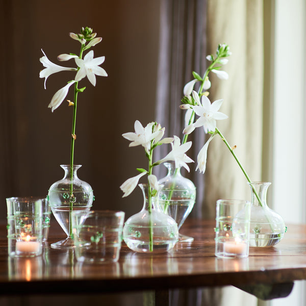 Miss Daisy, Set of 4