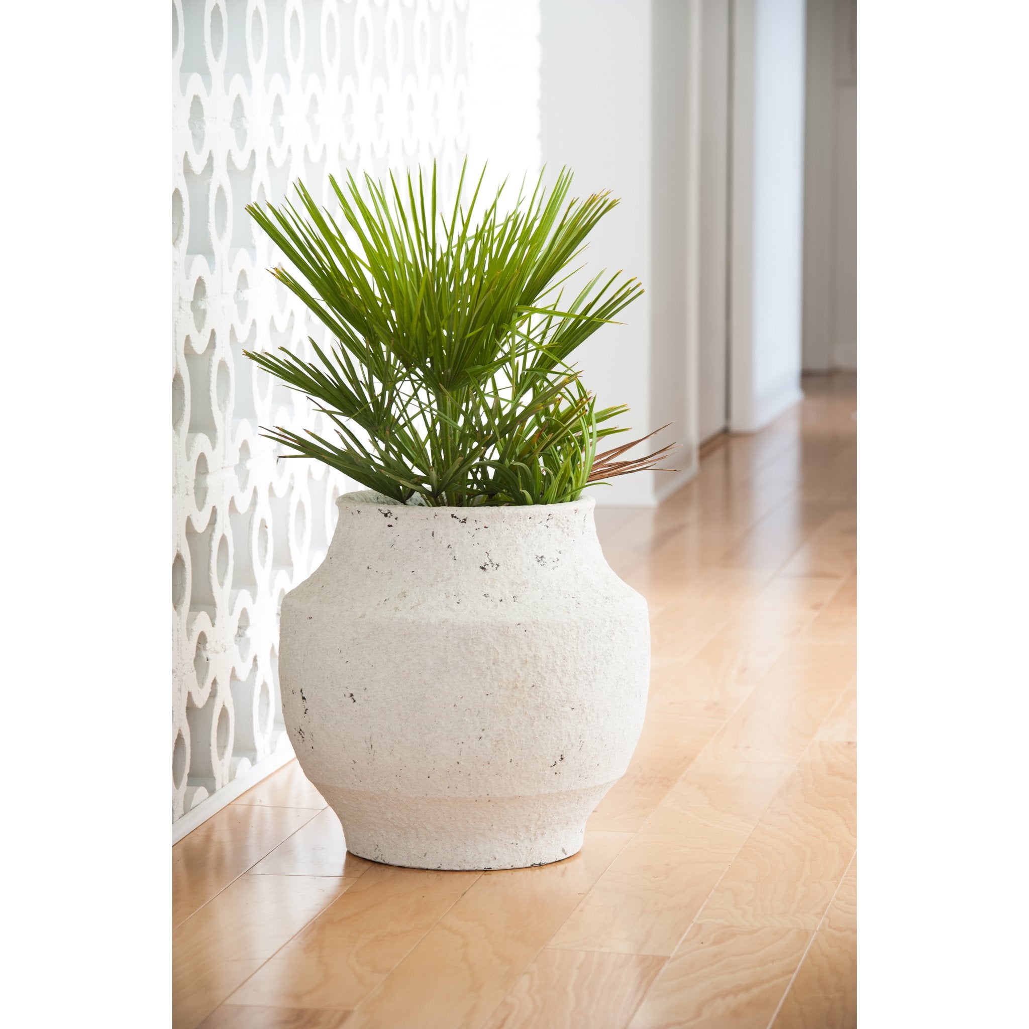 plant white pot White Washed Finish Ceramic Pot, Small