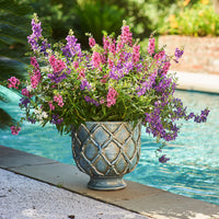 Vinci Criss Cross Planter, French Blue, Large