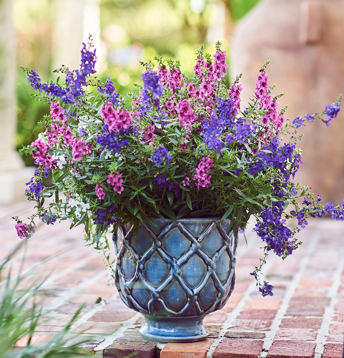 Vinci Criss Cross Planter, French Blue, Large