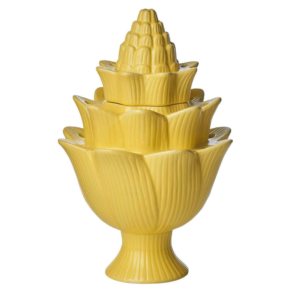 Artichoke Tulipiere, Yellow, Large