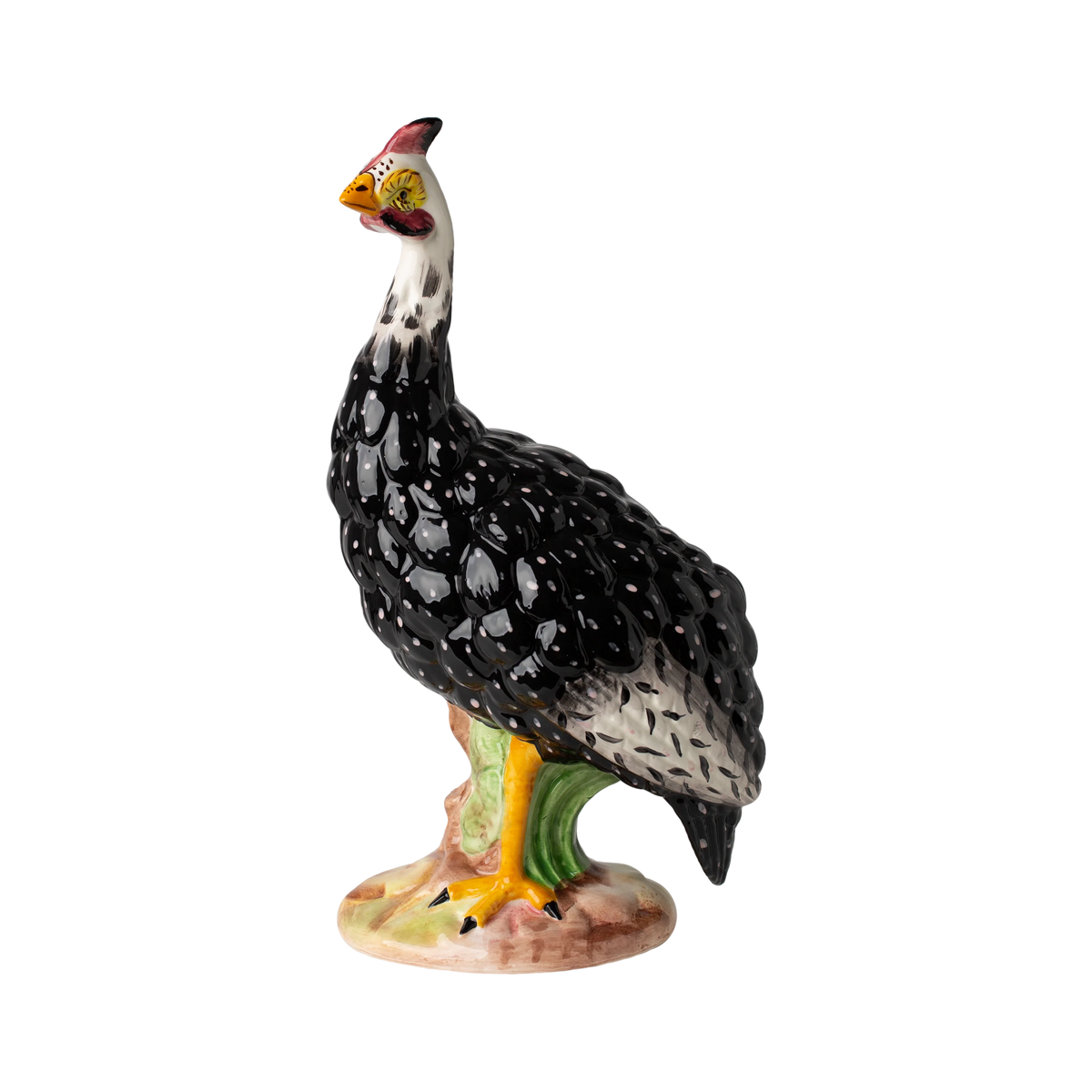 Guinea Hen, Male