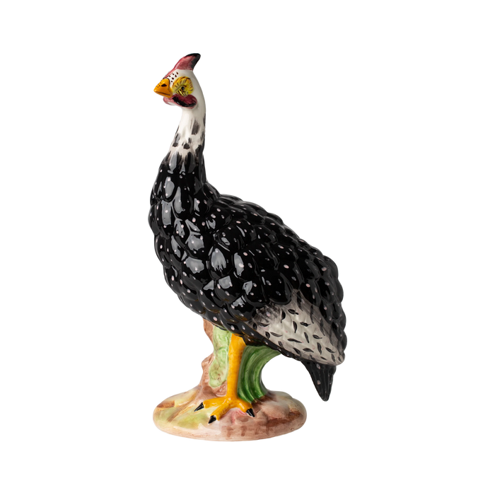 Guinea Hen, Male