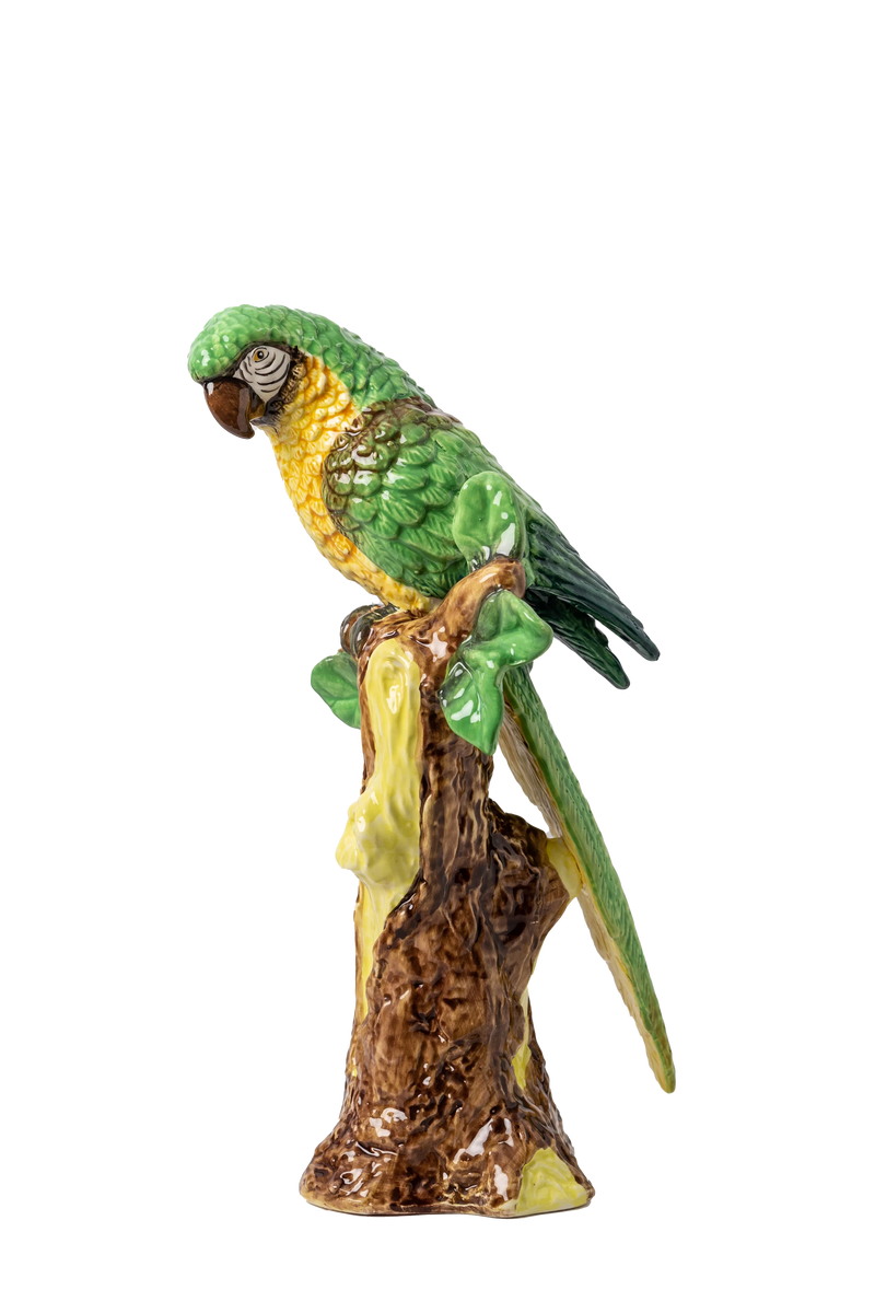 Parrot, Painted