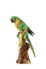 Parrot, Painted