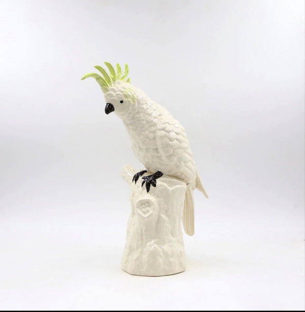 Cockatoo